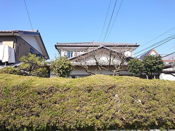 大垣市で漆喰が庭先に落ちてきたとの相談、棟の漆喰にカビが生えて劣化していた